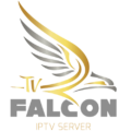 falconprosaudi.com